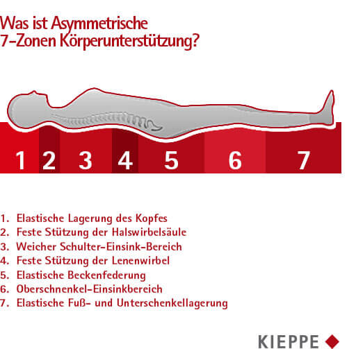 Asymmetrische 7-Zonen Körperunterstützung
